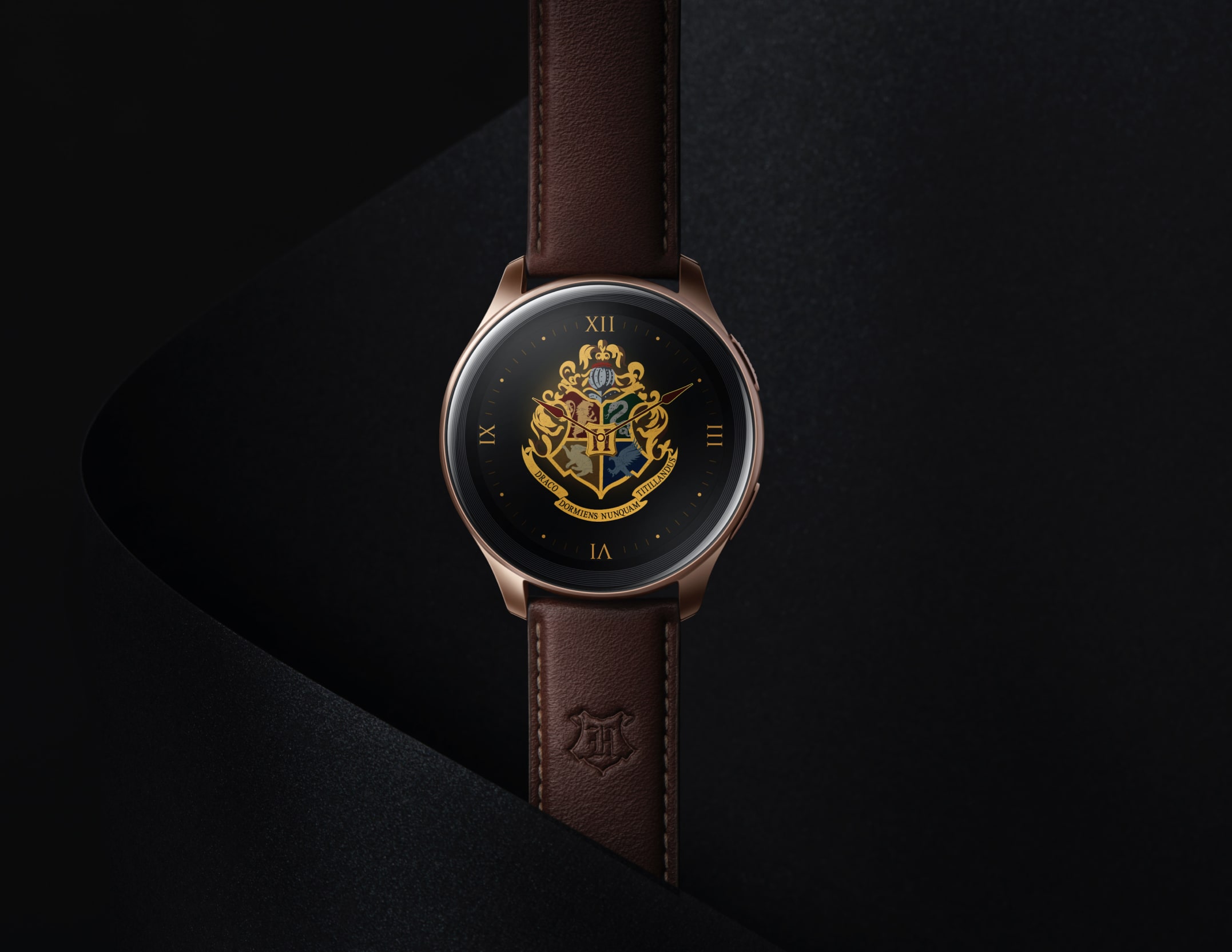 Potter watch. Хронометр Гарри Поттер. Часы Гарри Поттер от фирмы ONEPLUS. Harry Potter Limited Edition часы. ONEPLUS watch Harry Potter Limited Editio.